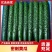 【新店推荐】山东密刺黄瓜大量有货价格有货自家种植