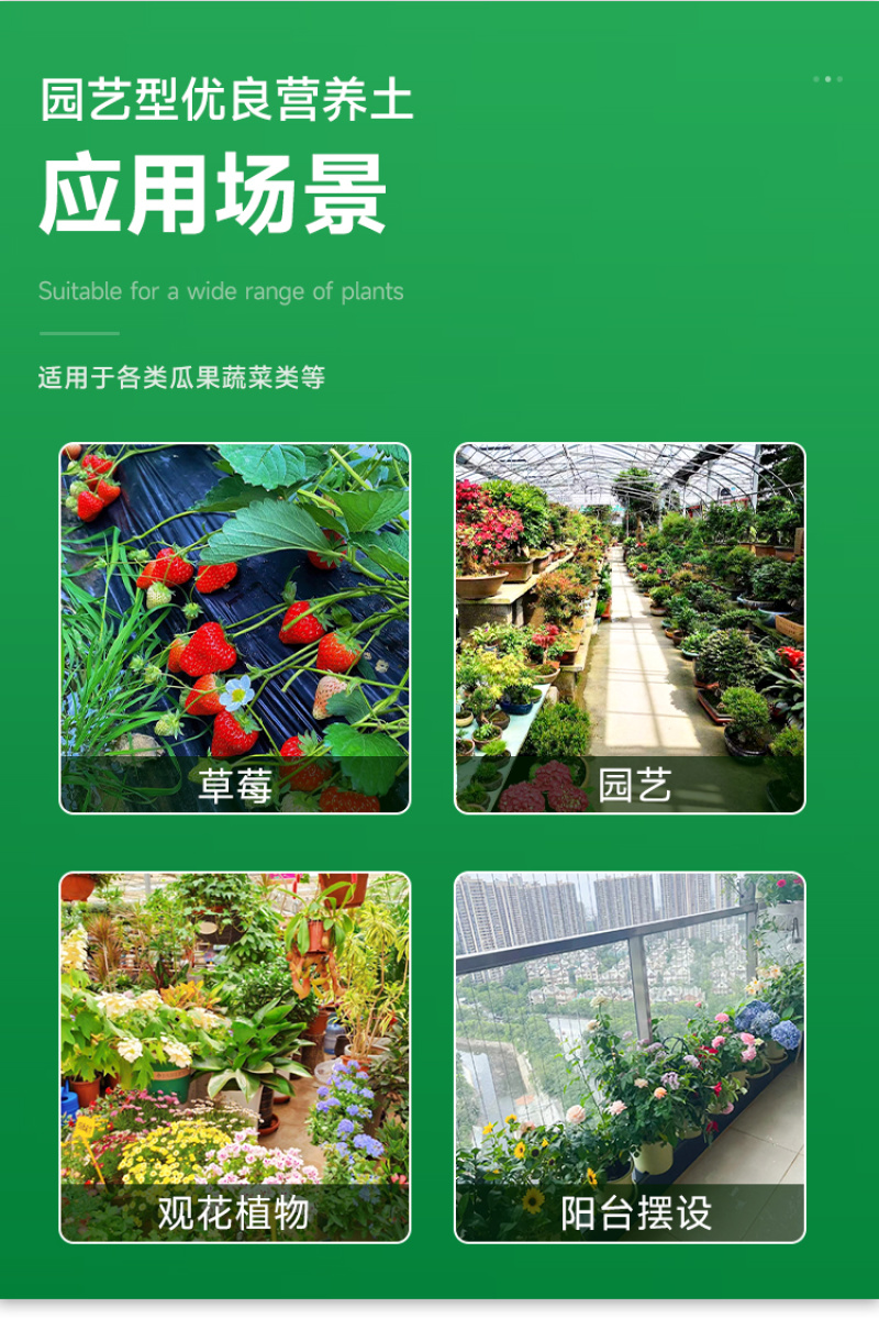通用型营养土