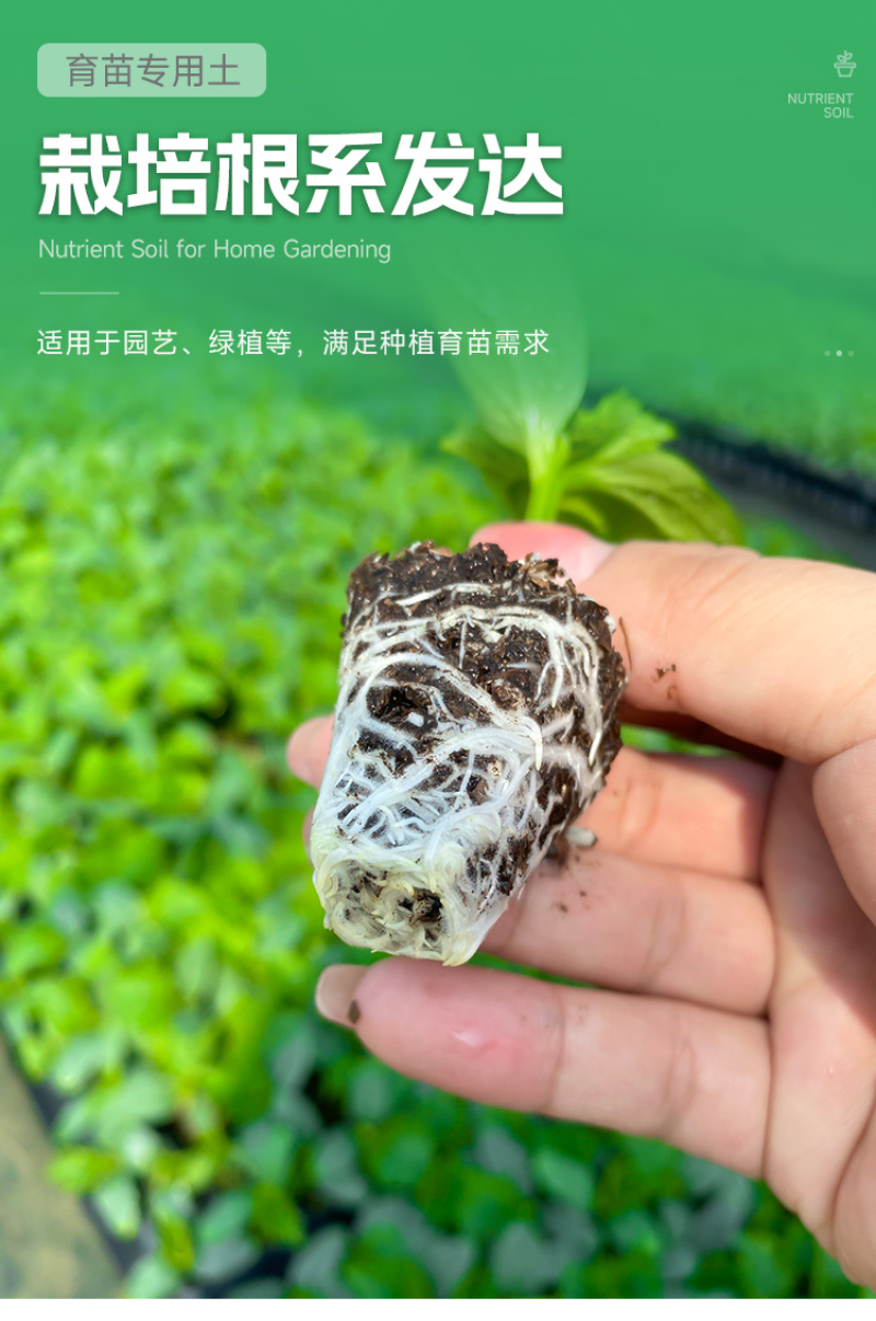 育苗基质土