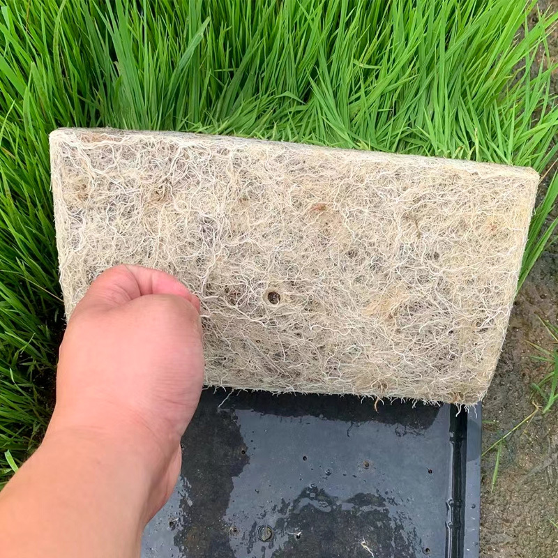 水稻育秧基质土