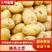 贵州精品黄心土豆对接电商市场商超等各类客户