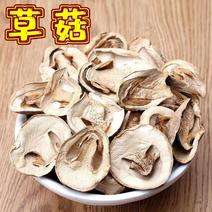 广东草菇，个大口感好，货源充足价格美丽，供应全国视频