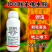 10%联苯噻虫胺联苯菊酯蚜虫地上地下害虫农药杀虫剂
