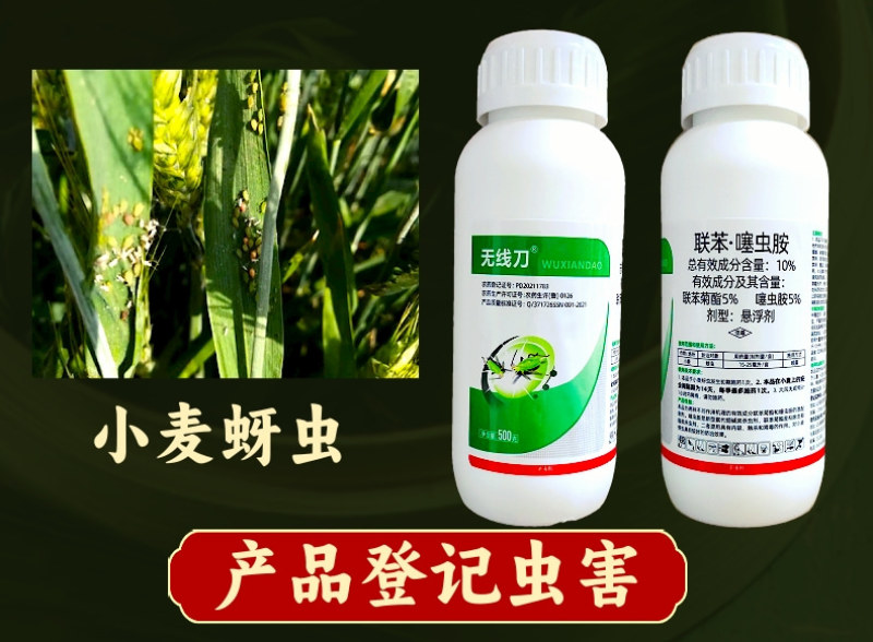 10%联苯噻虫胺联苯菊酯蚜虫地上地下害虫农药杀虫剂
