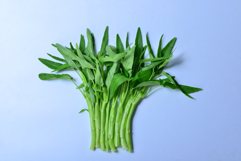 大白梗柳叶空心菜种子（可做水通）