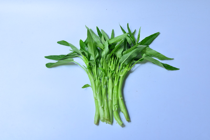 大白梗柳叶空心菜种子（可做水通）