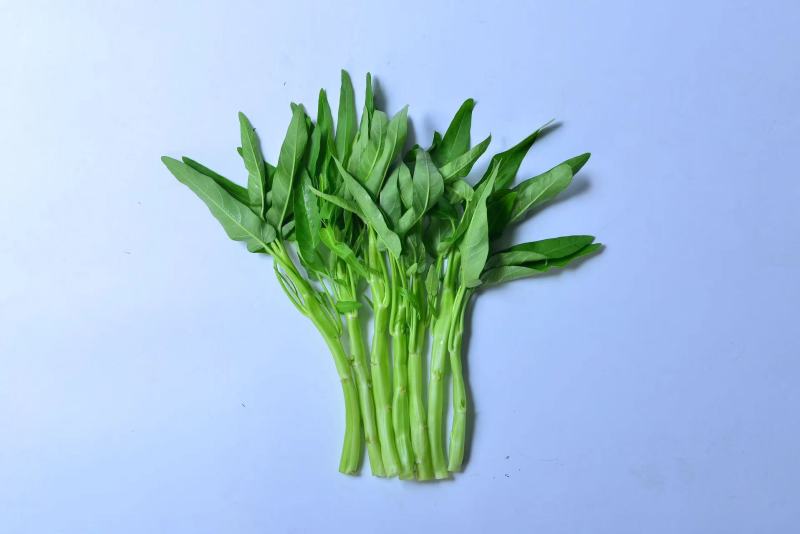 大白梗柳叶空心菜种子（可做水通）