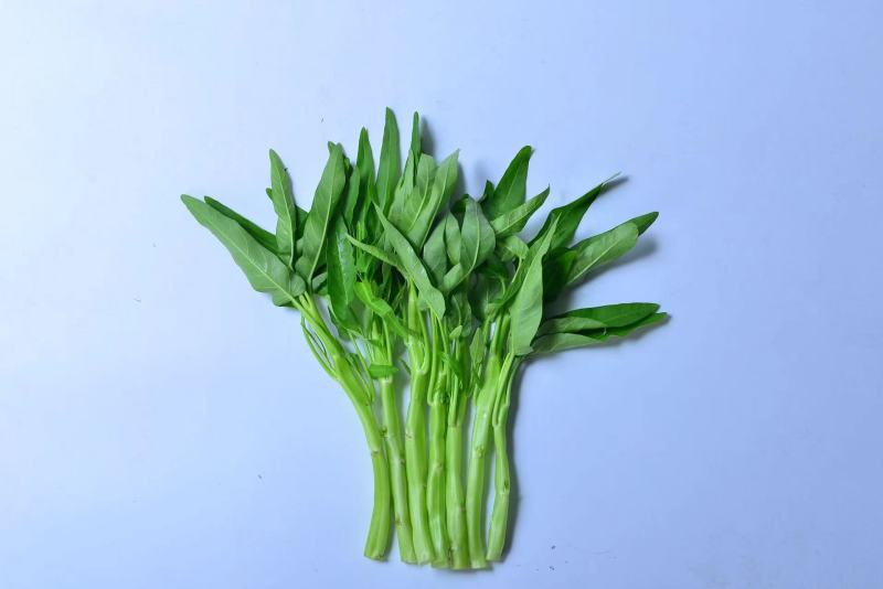 大白梗柳叶空心菜种子（可做水通）