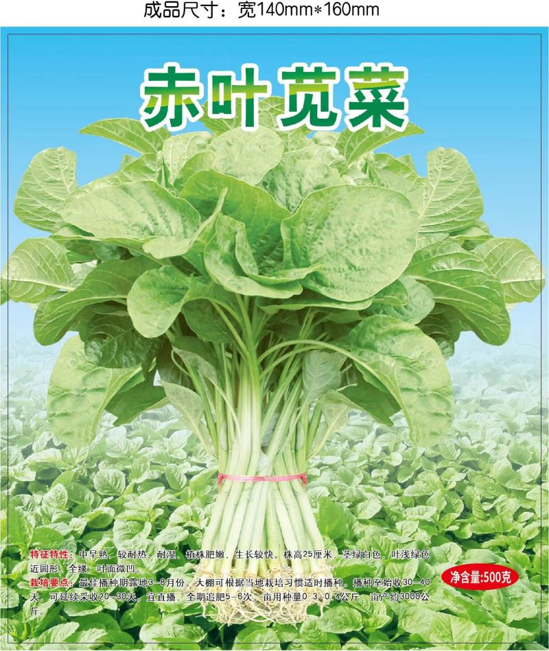圆叶白苋菜种子