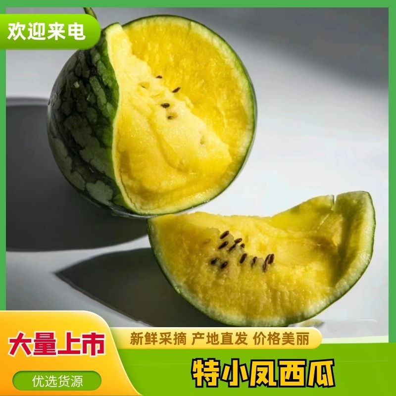 江苏特小凤西瓜精品西瓜大量上市欢迎电话联系