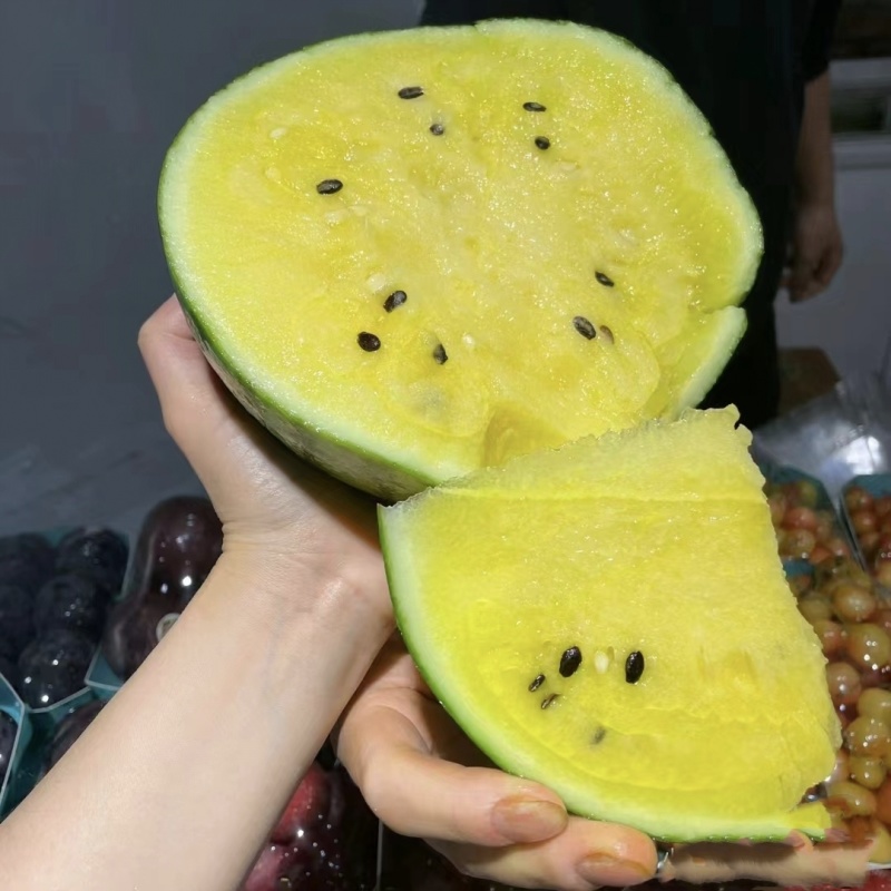 江苏特小凤西瓜精品西瓜大量上市欢迎电话联系