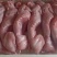 陕西榆林【兔肉】质量保证，品种纯正，假一赔十欢迎咨询