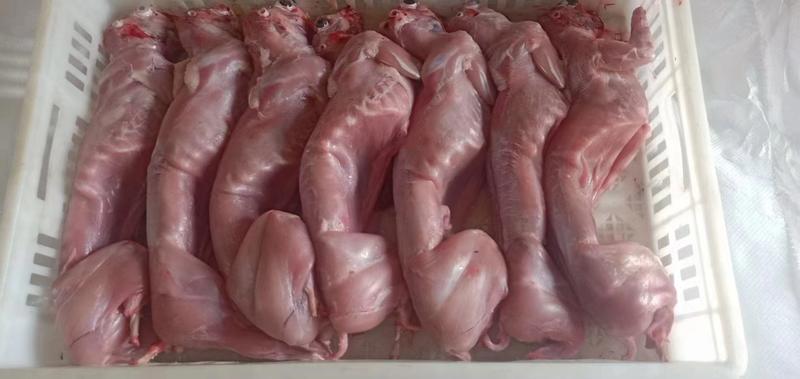陕西榆林【兔肉】质量保证，品种纯正，假一赔十欢迎咨询