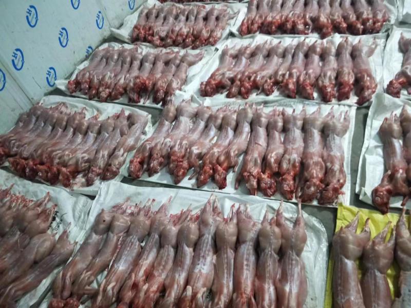 陕西榆林【兔肉】质量保证，品种纯正，假一赔十欢迎咨询