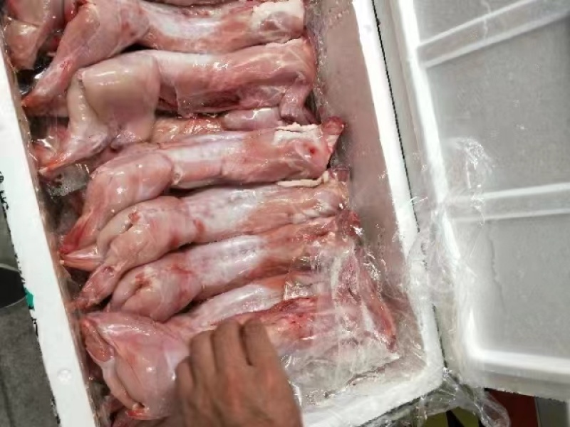 陕西榆林【兔肉】质量保证，品种纯正，假一赔十欢迎咨询