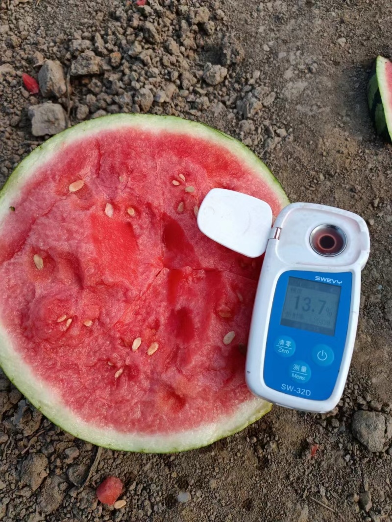 精品美都产地直发，包开包熟，生瓜包赔，对接市场商超电商