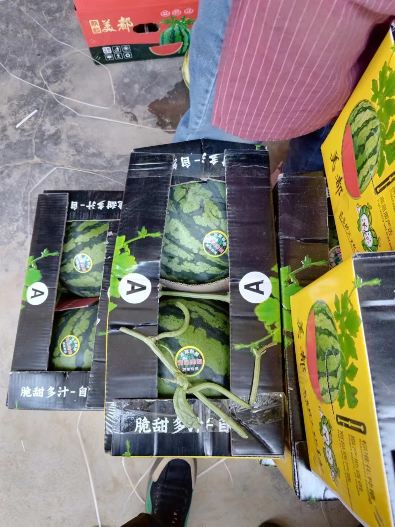 精品美都产地直发，包开包熟，生瓜包赔，对接市场商超电商