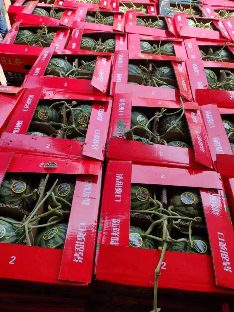 精品美都产地直发，包开包熟，生瓜包赔，对接市场商超电商