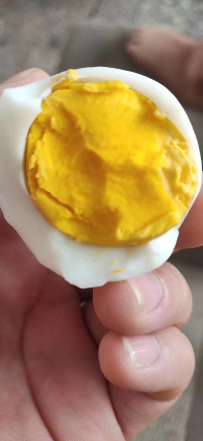 【精选】鸡蛋新鲜绿色礼品土鸡蛋品质保证货源充足