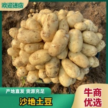 精品沙地土豆🥔新鲜产地直发货源充足欢迎选购