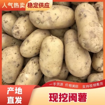 闽薯🥔土豆2两以上黄皮黄心精品靓货产地直发