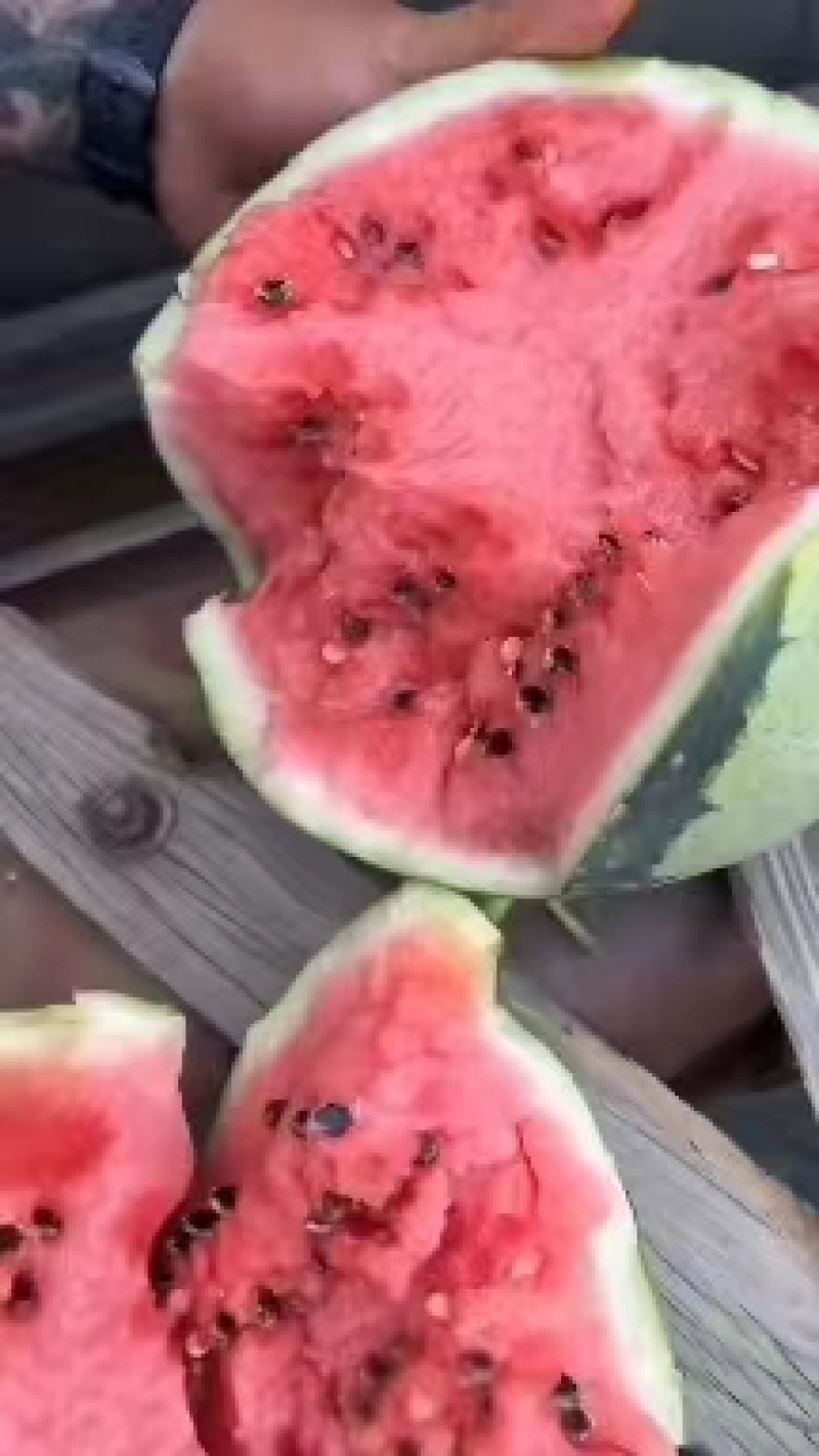 河南美都西瓜产地直发皮薄多汁市场商超对接欢迎电话联系