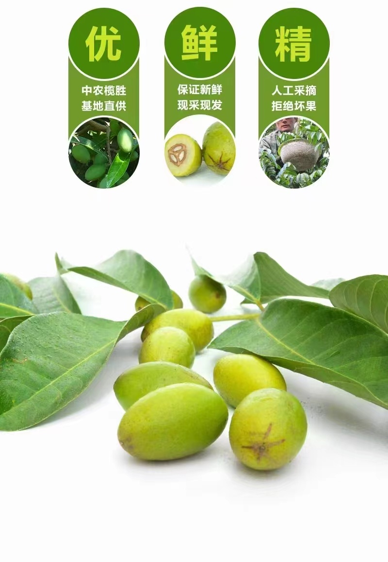 闽清甜橄榄，源头工厂，量大从优，欢迎接洽