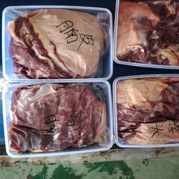 新鲜马肉河北马肉品质保证可视频看货长期合作