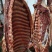 新鲜马肉河北马肉品质保证可视频看货长期合作
