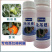 西红柿番茄免吊穗西红柿铁把粗把果把粗壮有韧性膨果快不空果