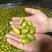 二号橄榄青橄榄产地直发长期大量供应可长期合作