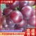 【藤稔葡萄】山东乒乓球葡萄大量供应口口爆汁量大从优