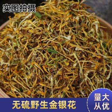 新花上市云南野生金银花清热天然花草茶花茶