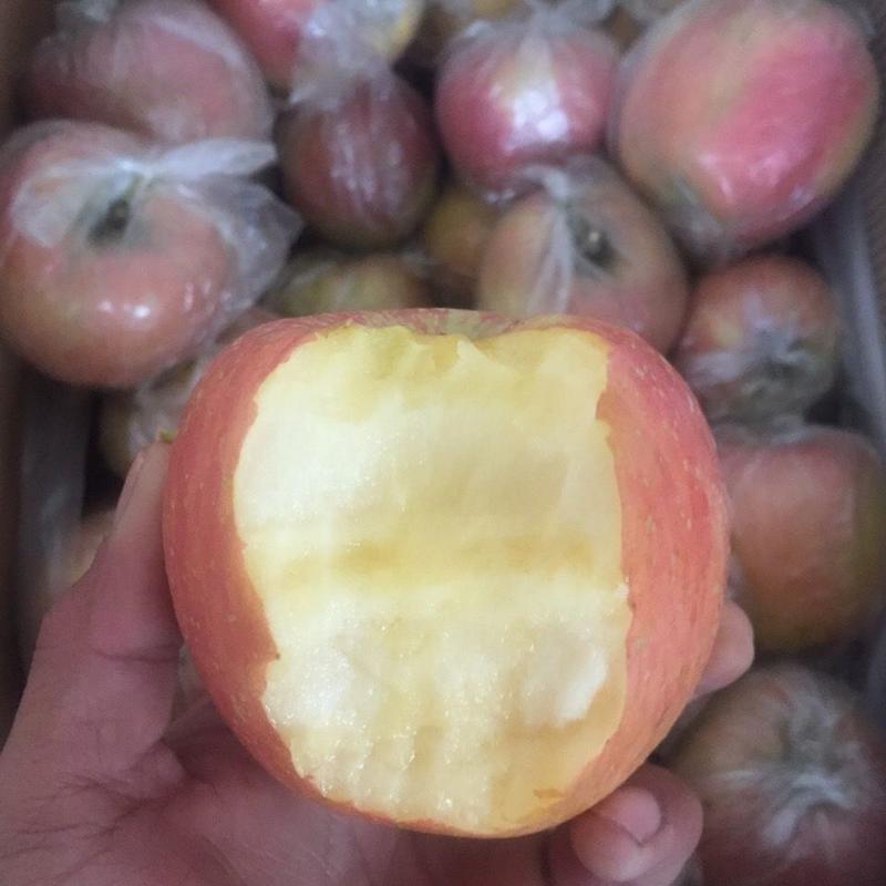 红富士苹果山西苹果冷库货大量供应脆甜多汁全国发货