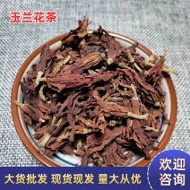 精选玉兰花新货白玉兰花大货批发一手货源量大从优