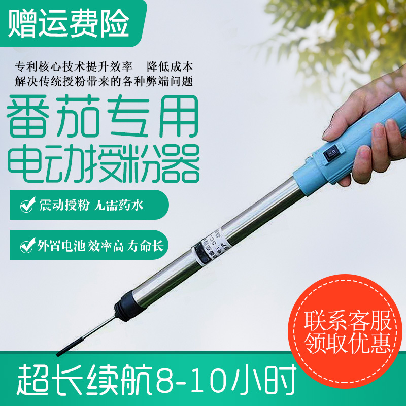 番茄西红柿电动授粉器台湾省suca震动授粉器口感西红柿授