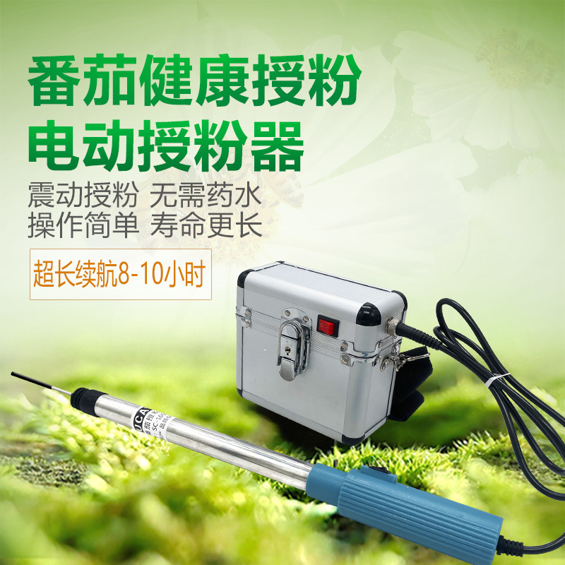 番茄西红柿电动授粉器台湾省suca震动授粉器口感西红柿授