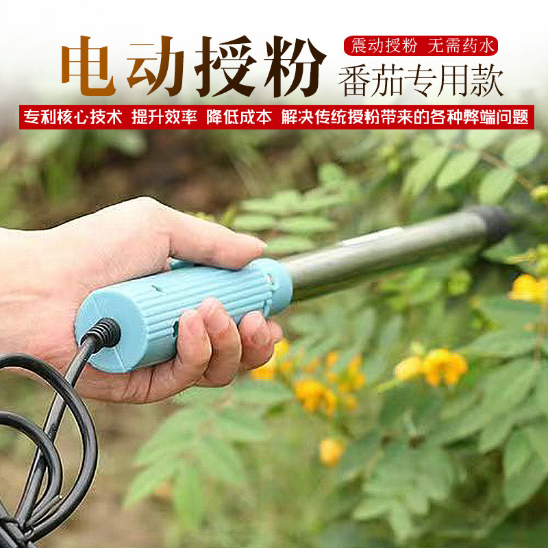 番茄西红柿电动授粉器台湾省suca震动授粉器口感西红柿授