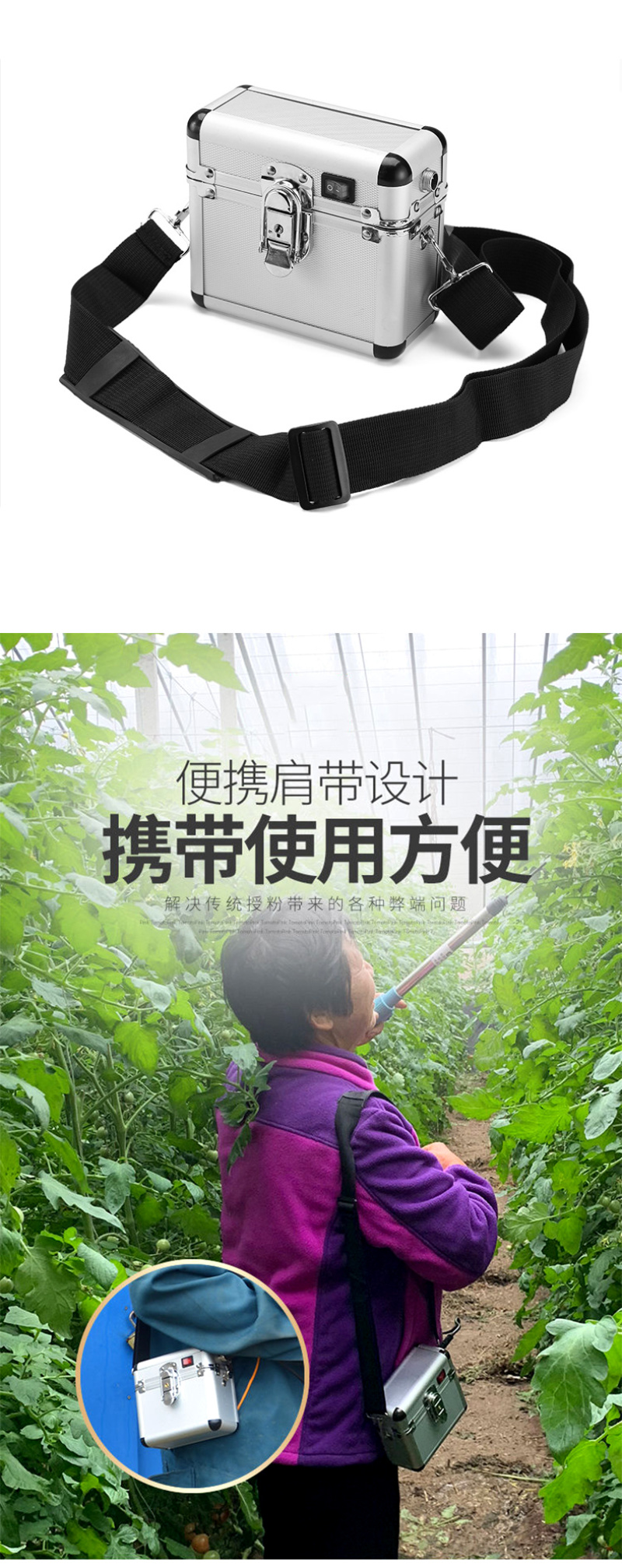 番茄西红柿电动授粉器台湾省suca震动授粉器口感西红柿授