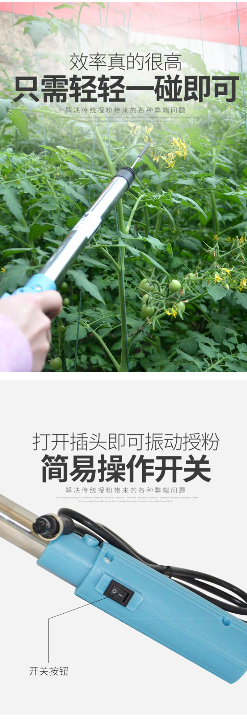 番茄西红柿电动授粉器台湾省suca震动授粉器口感西红柿授