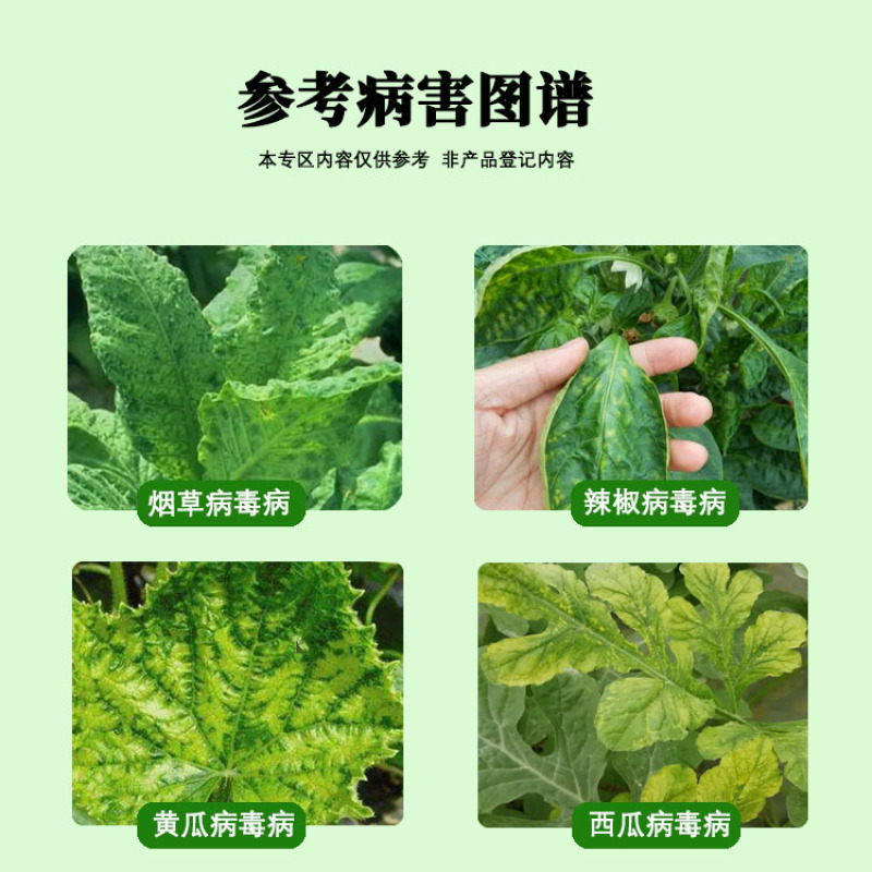 壳贝佳氨基寡糖锌预防病毒黄叶小叶黄头解毒抗逆增加光合病毒