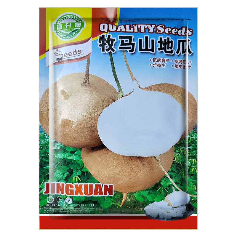 成都双流牧马山地瓜种籽无包衣皮薄把小分枝少脆甜多汁