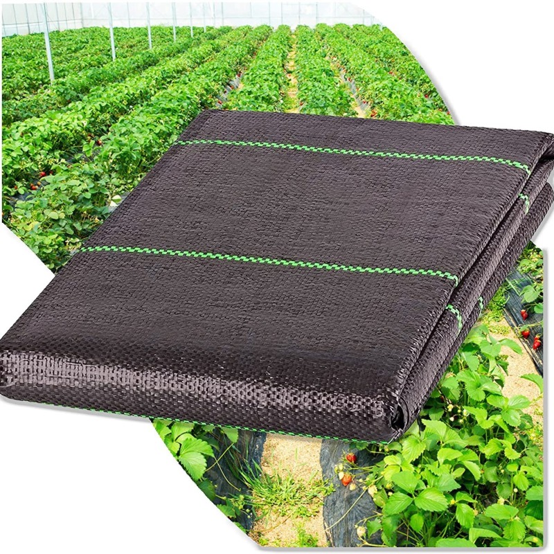 pe防草布，厂家可加工定制PE料，量大可优惠