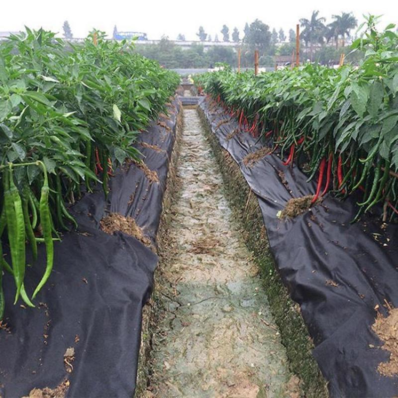 0.8米宽打孔，切片防草布，透气透水地布全国发货