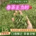 绿茶浙江高山绿茶大量上市口感醇甘甜茶香浓郁保质量