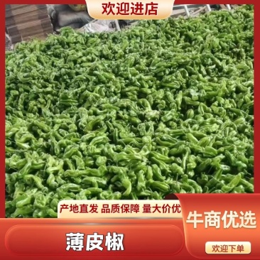 薄皮椒薄皮青椒产品发货商超品质全国代发欢迎电话订货