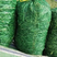 品质豌豆青豌豆产地直发对接电商团购等客户