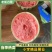 美都，8424皮薄，大红瓤，大小均匀，糖度高，，口感可