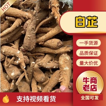白芷纯无硫袋装香料药用规格齐全自产自销基地直供
