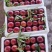 【一手货源】中油油桃黄肉油桃现采现发大吨位供市场批发